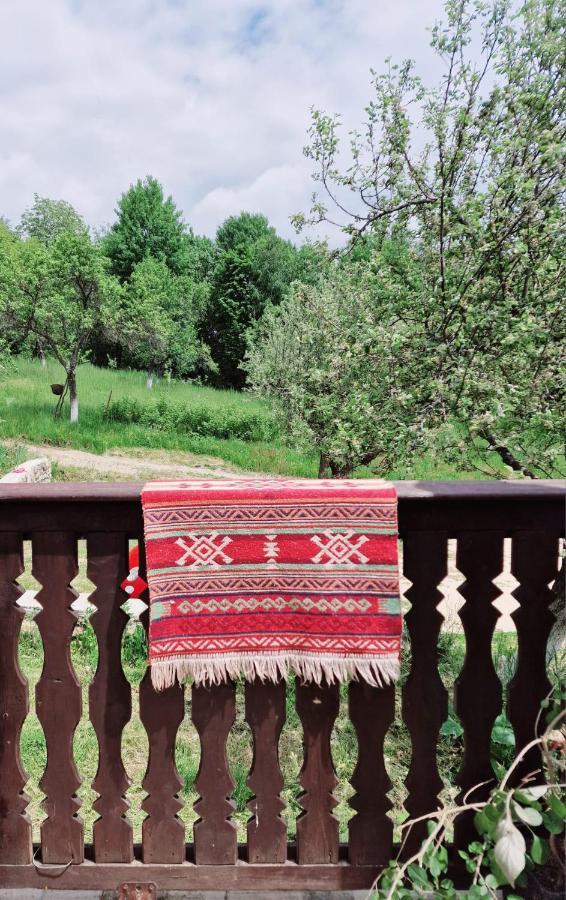 Casa Cu Cerdac Villa Nucşoara Exteriör bild